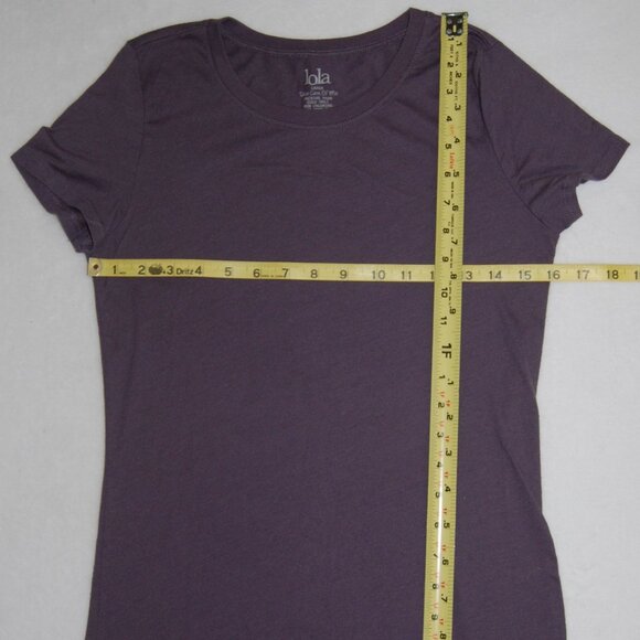NWOT Lola Tee by BCBG Max Azria, Juniors Size L (Bust: 32", Fitted/70s Style) - Picture 3 of 6